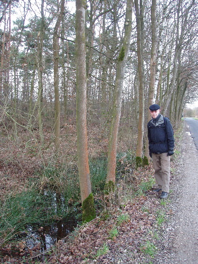 Nog 2 km asfalt door een moeras heen.