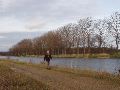 Anderhalve kilometer langs de Zuid-Willems Vaart.