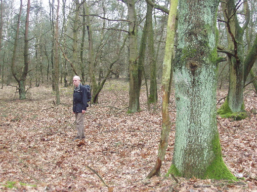 Uitzicht langs het fietspad op een bos van de Vallei ven de Zwarte Beek.