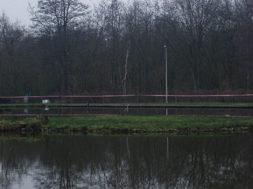 Een reiger in een visvijver.