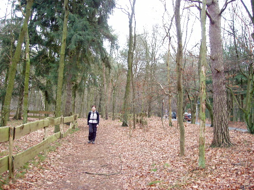 De grasberm langs de Kiewitstraat.