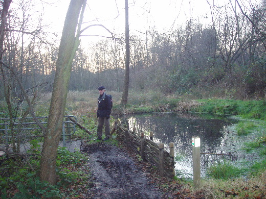 Prachtig stukje natuur langs de snelweg.