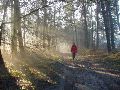 Zonnestraaltje.