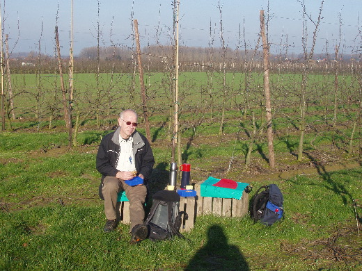 Tea in de zon op drie veilingkisten in een winterse boomgaard.