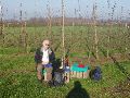 Tea in de zon op drie veilingkisten in een winterse boomgaard.