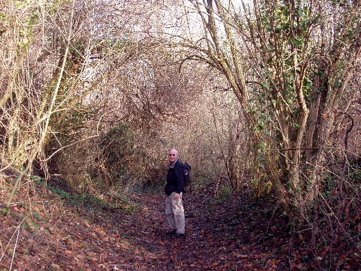 De Limburgse Jungle.