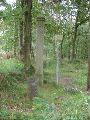 Douanepaal 5  geflankeerd door Grenssteen 173C.
