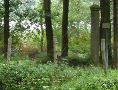 Douanepaal 5 wordt versierd met de gereconstrueerde prikkeldraadversperring uit 1914-1918.