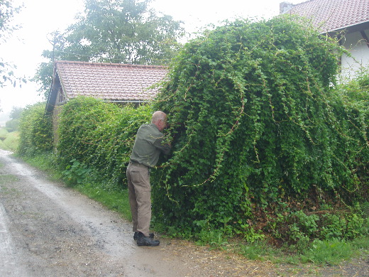 Dus zullen wij in de wingerd moeten graven aan de andere kant van de weg.