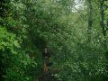 Mooi stukje bos maar geen paal te bekennen