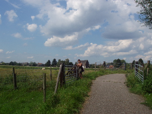 Door een netwerk van hekken tussen de schapen door. Wij kiezen voor het asfalt i.p.v. schapestront.