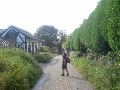 Weer terug in Mheer.