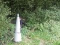 Eindelijk een vette karper: GP 16. Zouden GS 15A en B toch gepikt zijn door de garagedeurdealer?