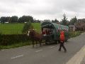Bert gaat even het hoofdstel bijstellen van dit overwerkte paard.