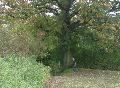 Wij lopen nu in een rechte lijn naar het Zuiden door over een akker naar het zuidelijkste puntje van Nederland.