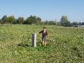 Verderop in de akkers GP 219.