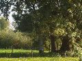 Op afstand GP 133 vastgelgd die vanuit GP 134 zichtbaar is onder een grote eik.