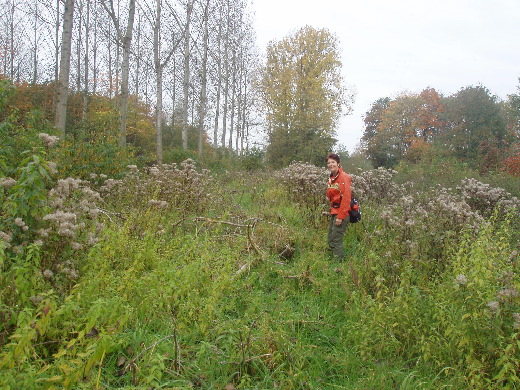 Een bospaadje eindigde in korte bunktocht door het kreupelhout. Het takkenlopen.