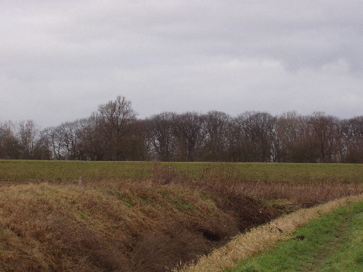 Hetzelfde uitzicht op de brug  in de winter. Zie je de paal staan?