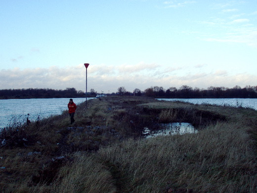 Teruggelopen en alweer een verkeerde landengte opgelopen. Deze pier langs de Maas bleek dood te lopen in het water voordat wij ons doel bereikt hadden.