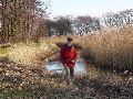 Nu was het even zoeken langs de Itterbeek.
