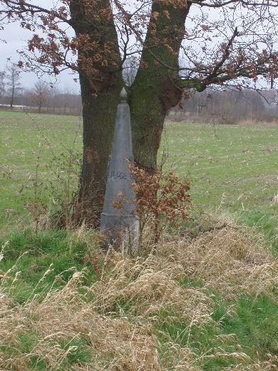 CLoseup van de ietwat verwaarloosde GP 148.