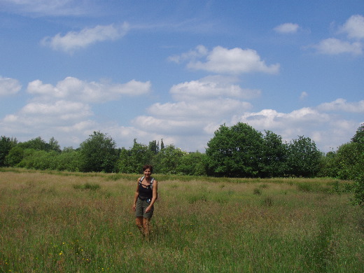 En door open veld.