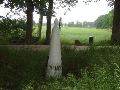 In afwachting van Bert via een omweg door het struikgewas het nummer van GP 187 in beeld met een antieke Lommelse steen in de achtergrond.