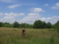 En door open veld.