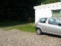 Na een stukje door de vertrouwde Limburgs klei en een paadje door het bos geploeterd te hebben <br> kwamen wij precies bij onze auto uit lang de ZuidWillemsvaart.