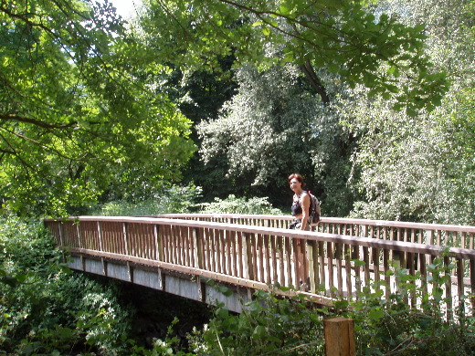 Doorgelopen op afstand langs de Duitse oever van de Worm, voorbij een naar stront stinkende waterrecyclage-centrale de eerste brug genomen naar de overkant.
