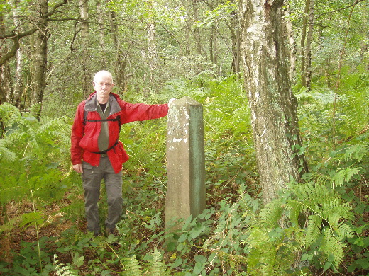 GP 262 in het bos, nog niet doorgedrongen tot GP 261, voor een andere keer.