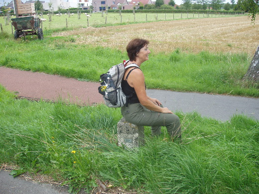 Grenspaal 297 op het punt waar de Sittardse Wehrerweg overgaat in de Landstrasse.