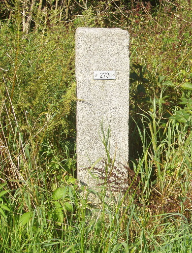 30-8-2008: Het Duitse exemplaar van het palenpaar 273.
