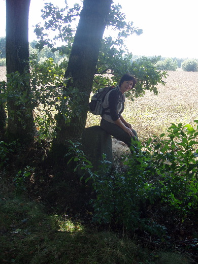 Grenssteen 176A stond rechts langs een wandelpad.