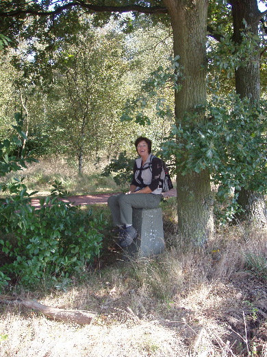 Grenssteen 176A van de andere kant.