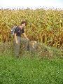 Grenssteen 173A staat langs een masveld.