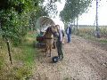 Een huifkar parkeerde vlak bij onze picknickstek.