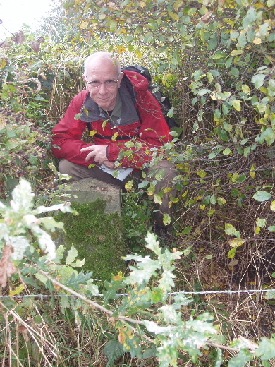 Na een half uurtje zoeken Grenssteen 186B ontdekt tussen het onkruid. <br>De steen zelf was met een extra camouflagelaag van mos bedekt.