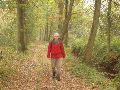 Dit bospaadje afgelopen op zoek naar 186C. Na een half uur rondstruinen door de bramen helaas niet kunnen ontdekken. Deze is echt voor de winter.