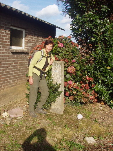 Grenspaal 334A wordt gesierd door een rododendronstruik.