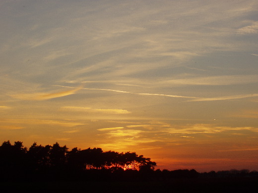 Twintig minuten over een pad gelopen naar Vlodrop, en onze auto, onder de gloed van de ondergaande zon.