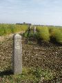 Op rij de gespalkte grenspaal 329D en 329E in een aspergeveld.