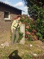 Grenspaal 334A wordt gesierd door een rododendronstruik.
