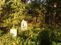Dwars door het bos moeten lopen waarbij wij grenspaal 352 gemist hebben.<br> Wel gezien: Grenspaal 352A.