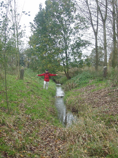 Het grenspalenpaar 370 aan weerskanten van een sloot. <br>Vanuit het oosten genomen.