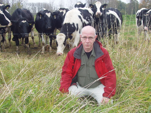 Onze vorderingen werden met belangstelling gevolgd door een kudde vaarzen.<br>Om de kalveren beter tot hun recht te laten komen moest ik door de knien.