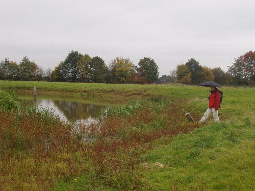 Wij lopen weer terug langs de andere kant van de plas.<br>Mijn voet staat op hulppaal 365A, in de achtergrond grenspaal 366.