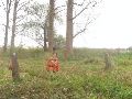 Dezelfde palen 370 vanuit het westen.