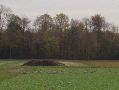 Op de velden verzamelden zich diverse ganzengemeenschappen. Een groep vastgelegd.